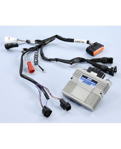 Unidade de controlo do motor POLINI ECM